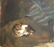 Paul Raud Sleeping cat by Paul Raud oil painting reproduction